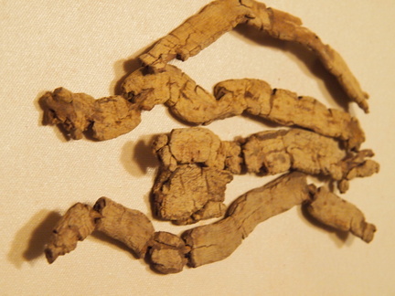 Bajitian