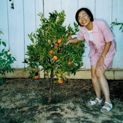 2003
