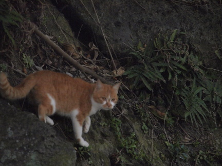 2013-10-25 Shimen118