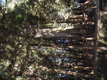 2013-10-27 Alishan140