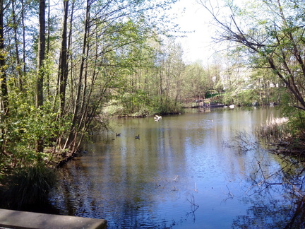 2016-04-09 Hastings Park 00 20