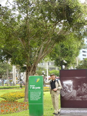 2017-05-13 Lima 08 Central Park of Miraflores 4